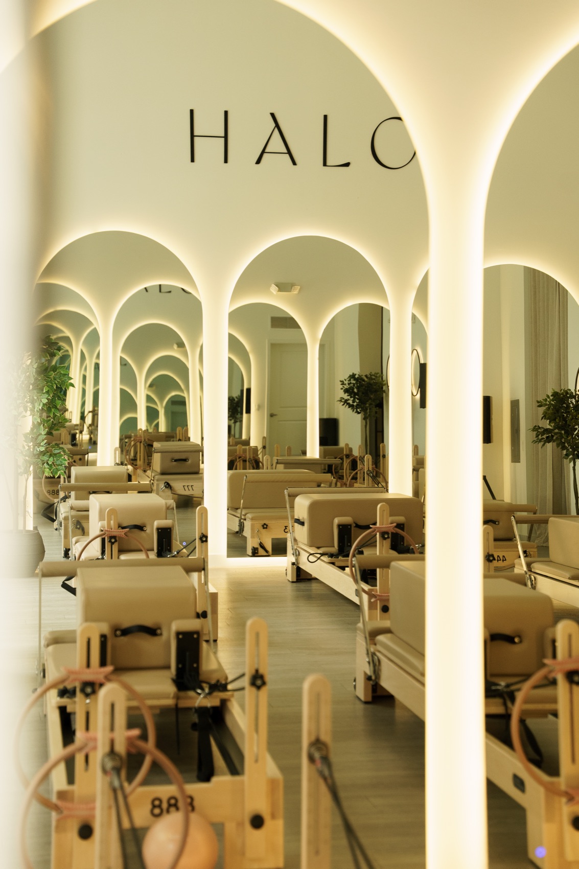 Inside Studio HALO. The arched reformer studio